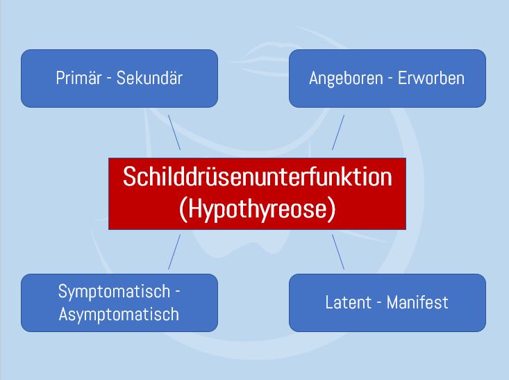 Unterteilung Schilddrüsenunterfunktionen