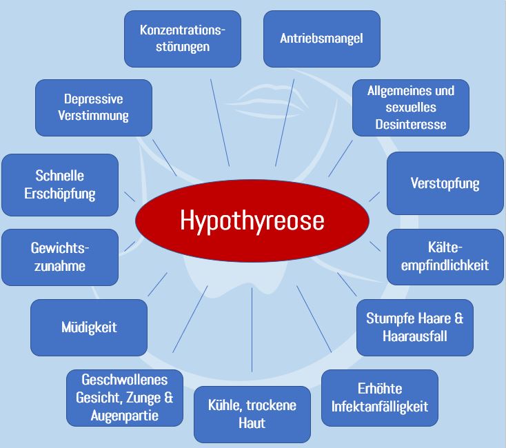 Symptomübersicht Schilddrüsenunterfunktion