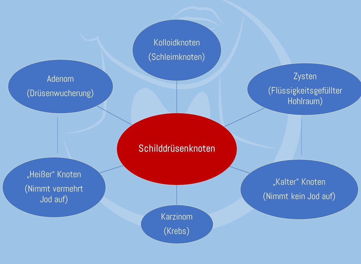Übersicht Schilddrüsenknoten