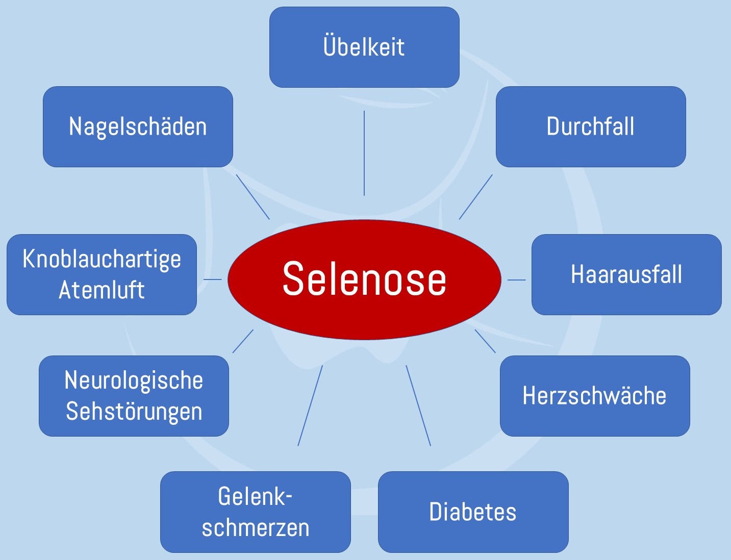Symptomübersicht Selenose