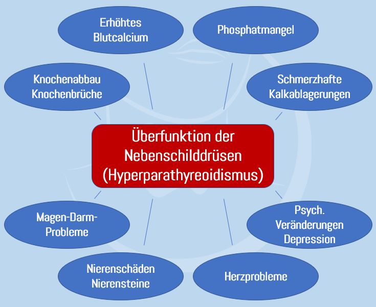 Überfunktion der Nebenschilddrüse