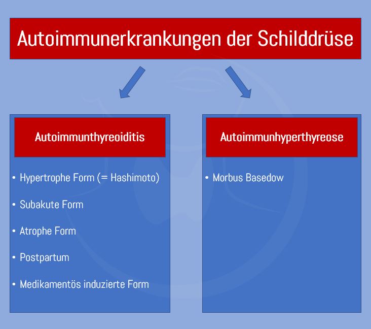 Autoimmunerkrankung der Schilddrüse