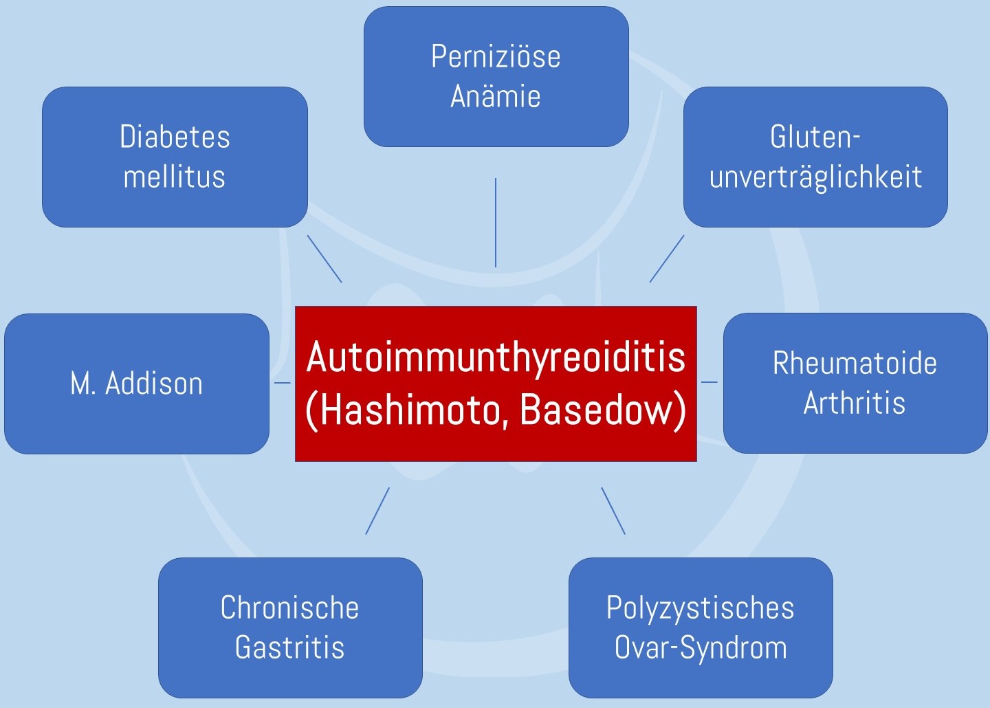 Begleiterkrankungen Hashimoto und Basedow