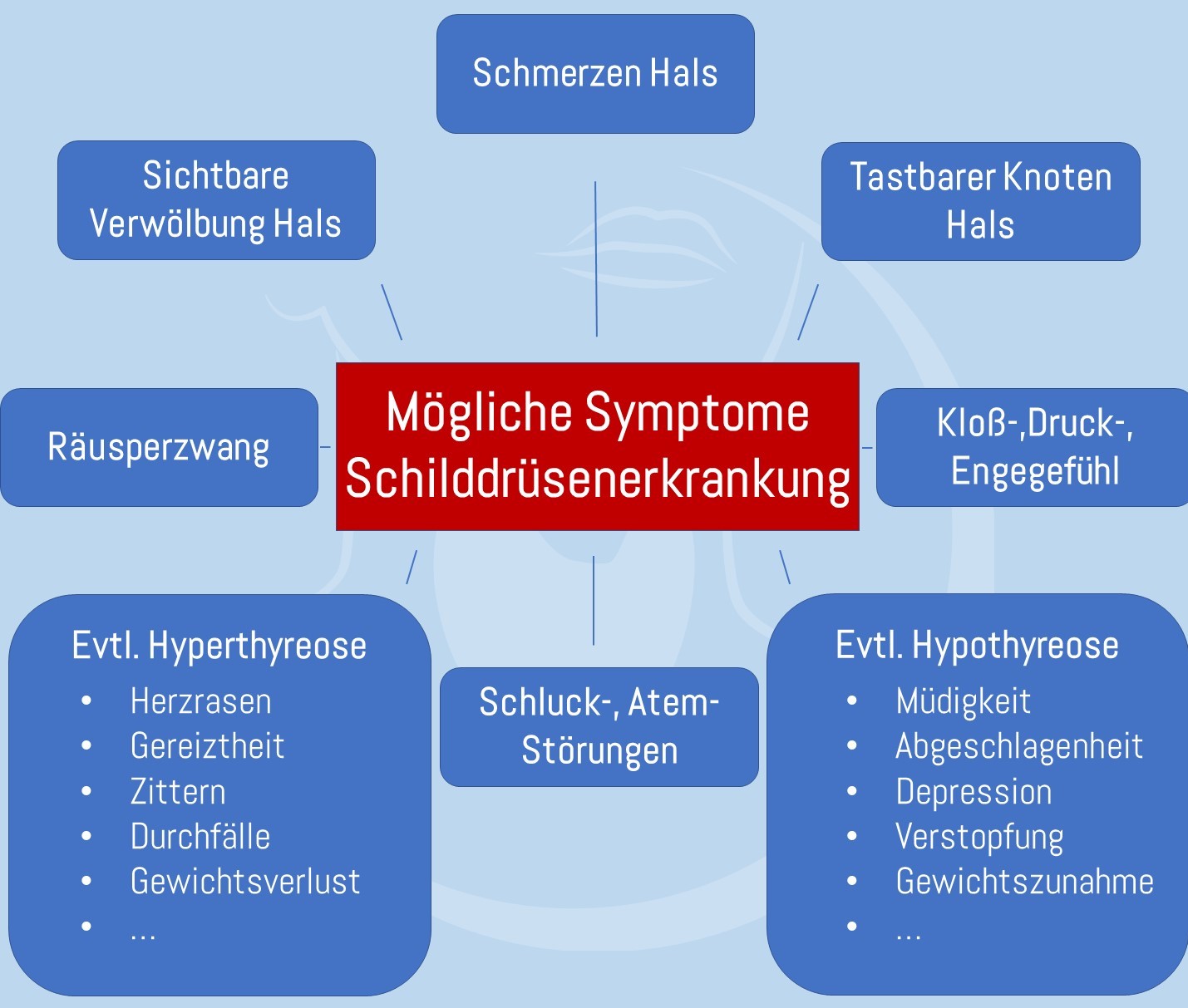 Symptomübersicht Schilddrüsenerkrankung