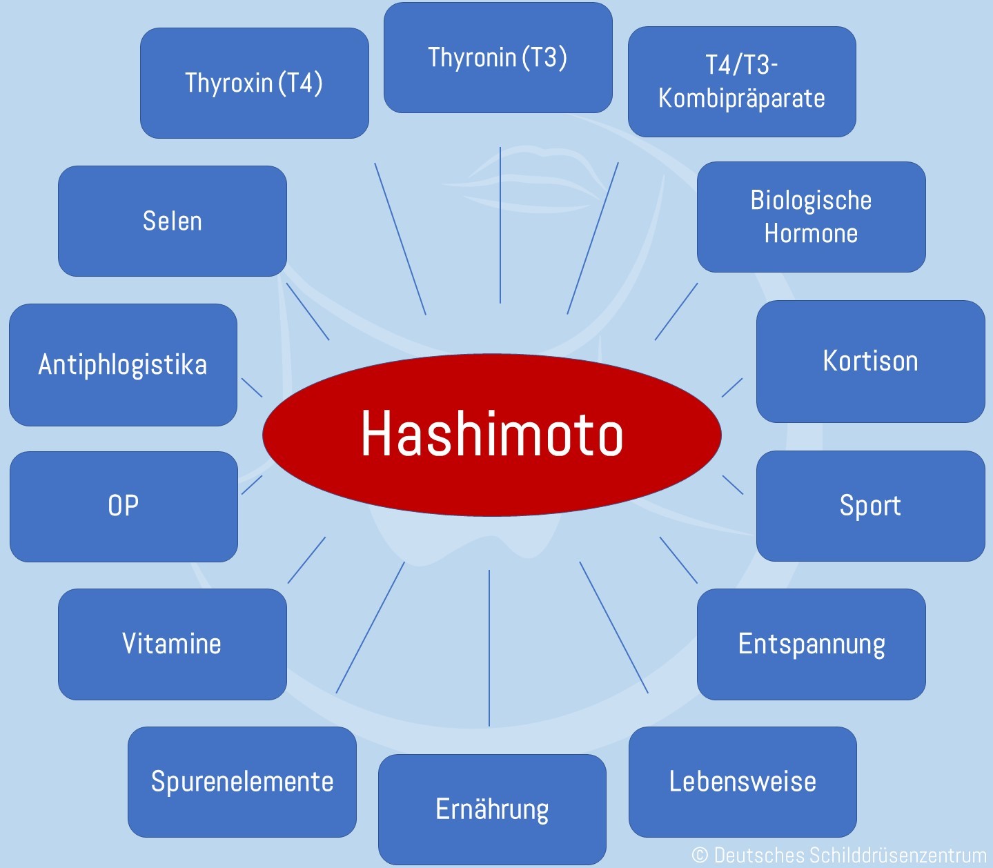 Behandlungsmöglichkeiten Hashimoto