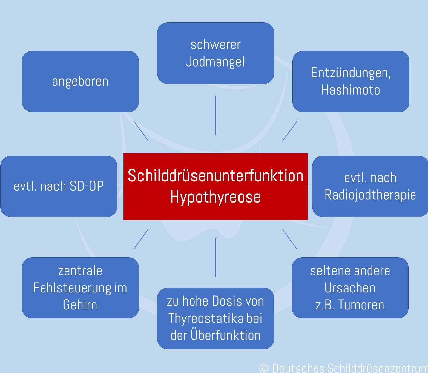 Ursachen Schilddrüsenunterfunktion