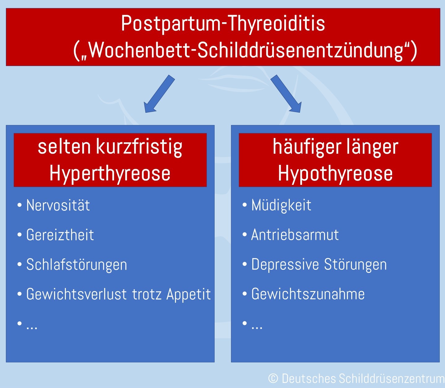 Übersicht Postpartum-Thyreoiditis